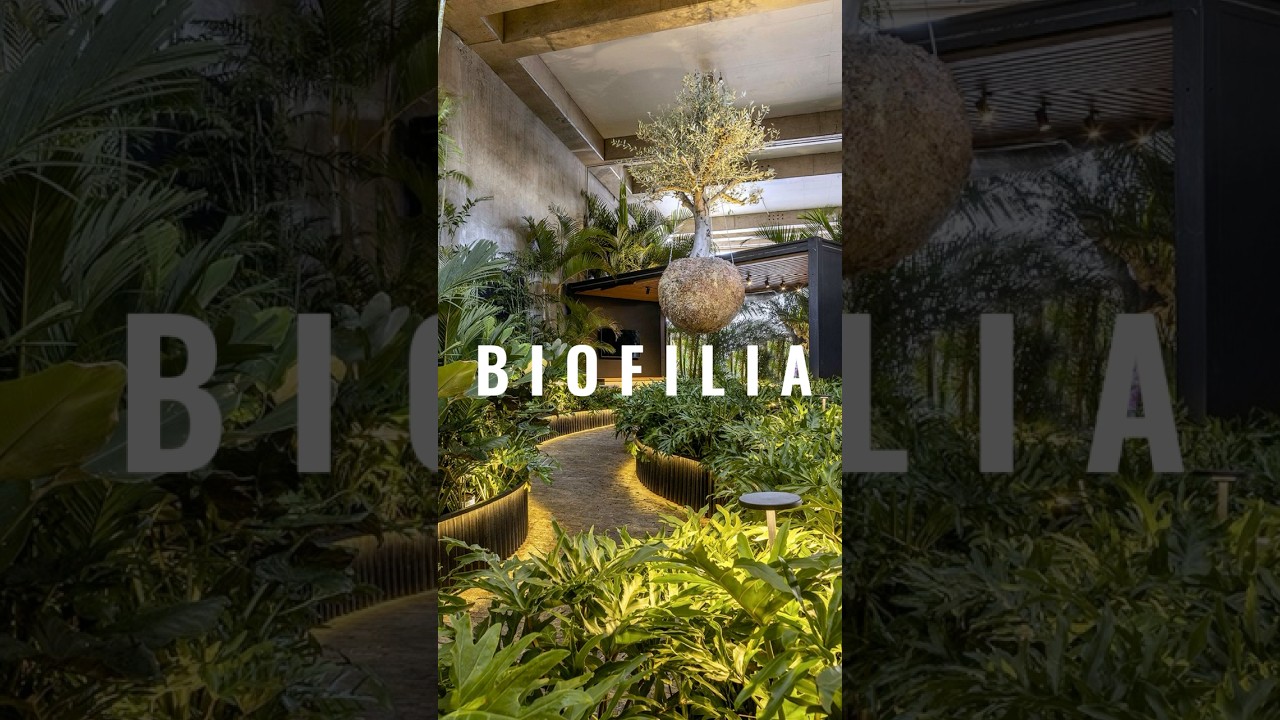 BIOFILIA| Conex&atilde;o homem e natureza. #arquitetura #biofilia
