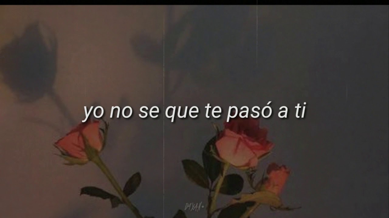Tu fuiste mi gran amor - Segundo Rosero (Letra)
