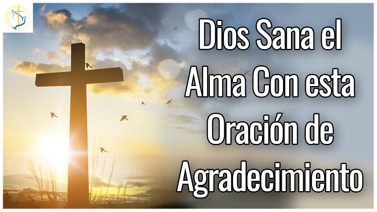 Agradece a Dios por lo bueno que es contigo con esta Oración