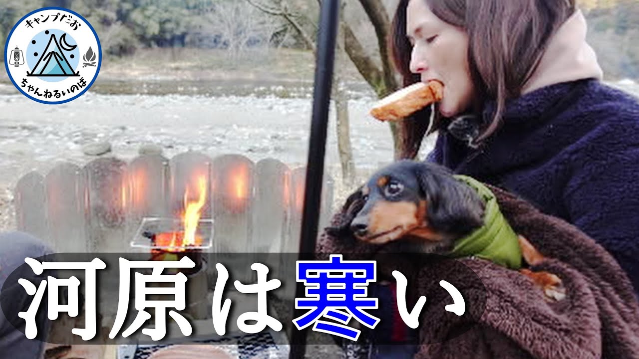 【青野原オートキャンプ場】ウッドストーブの炎で温まる河原の冬キャンプ、冬の河原は想像以上に寒かったです。【夫婦キャンプ】【犬連れキャンプ】