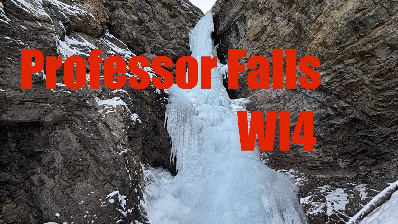 Professor Falls WI4