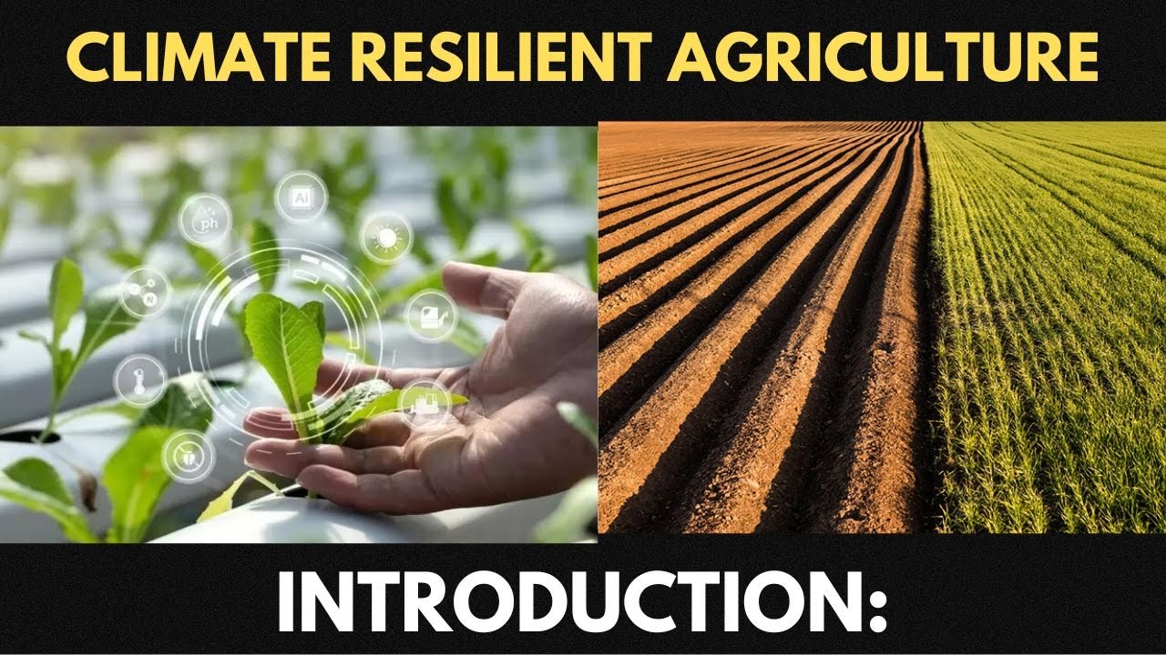 Introduction to Climate-Resilient Agriculture.