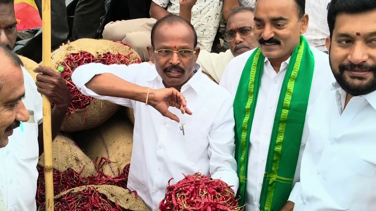 ఈరోజు ఖమ్మం మిర్చి మార్కెట్ లో తేజ రకం జెండా పాట 🚩🚩🚩🔔🔔🔔🌶️🌶️🌶️సబ్స్క్రయిబ్ 