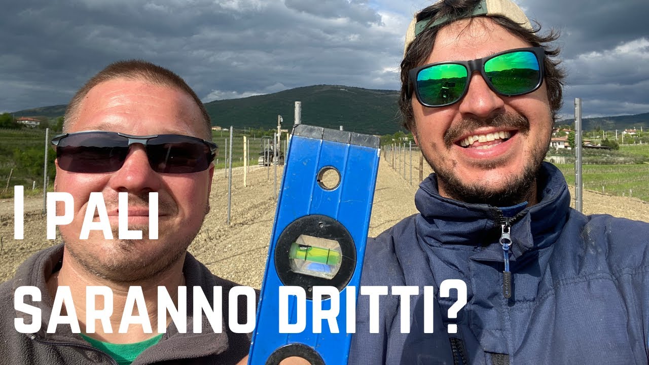 Pali piantati con il piantapali - la nuova vigna di Tocai Friulano ha i suoi pali