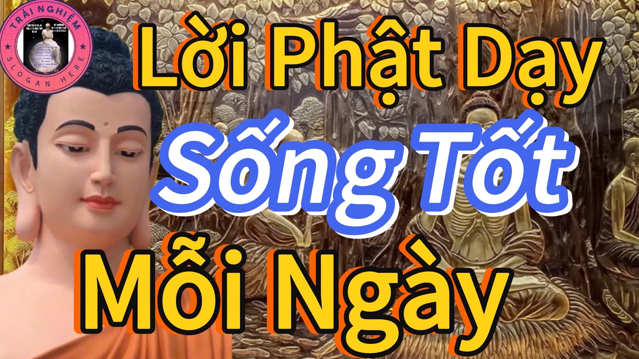 Sống Tốt Mỗi Ngày Tâm Được Bình An 