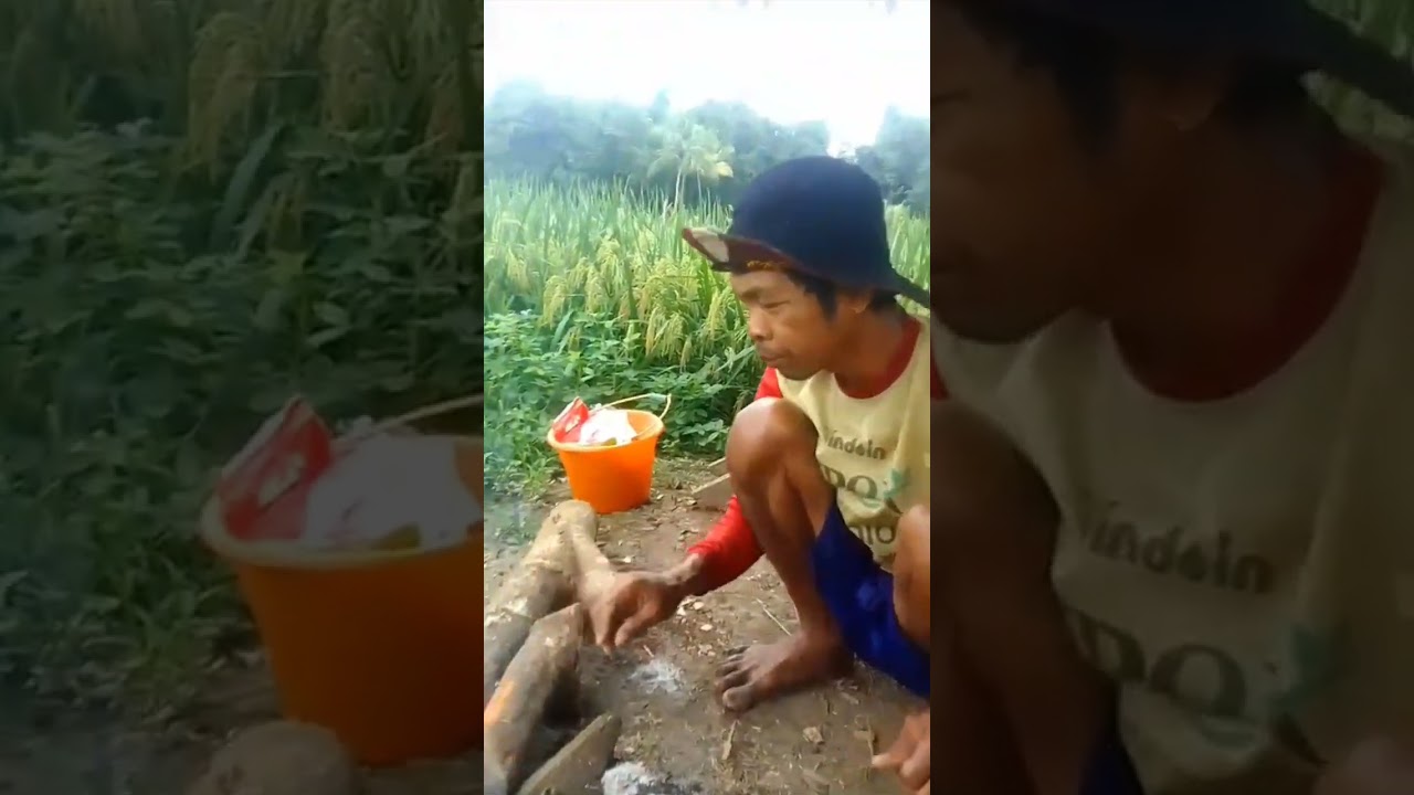 Aktivitas disawah #sawah #sawahpedesaan #padi #padiunggul  #shortvideo #shorts #semprot #nyemprot