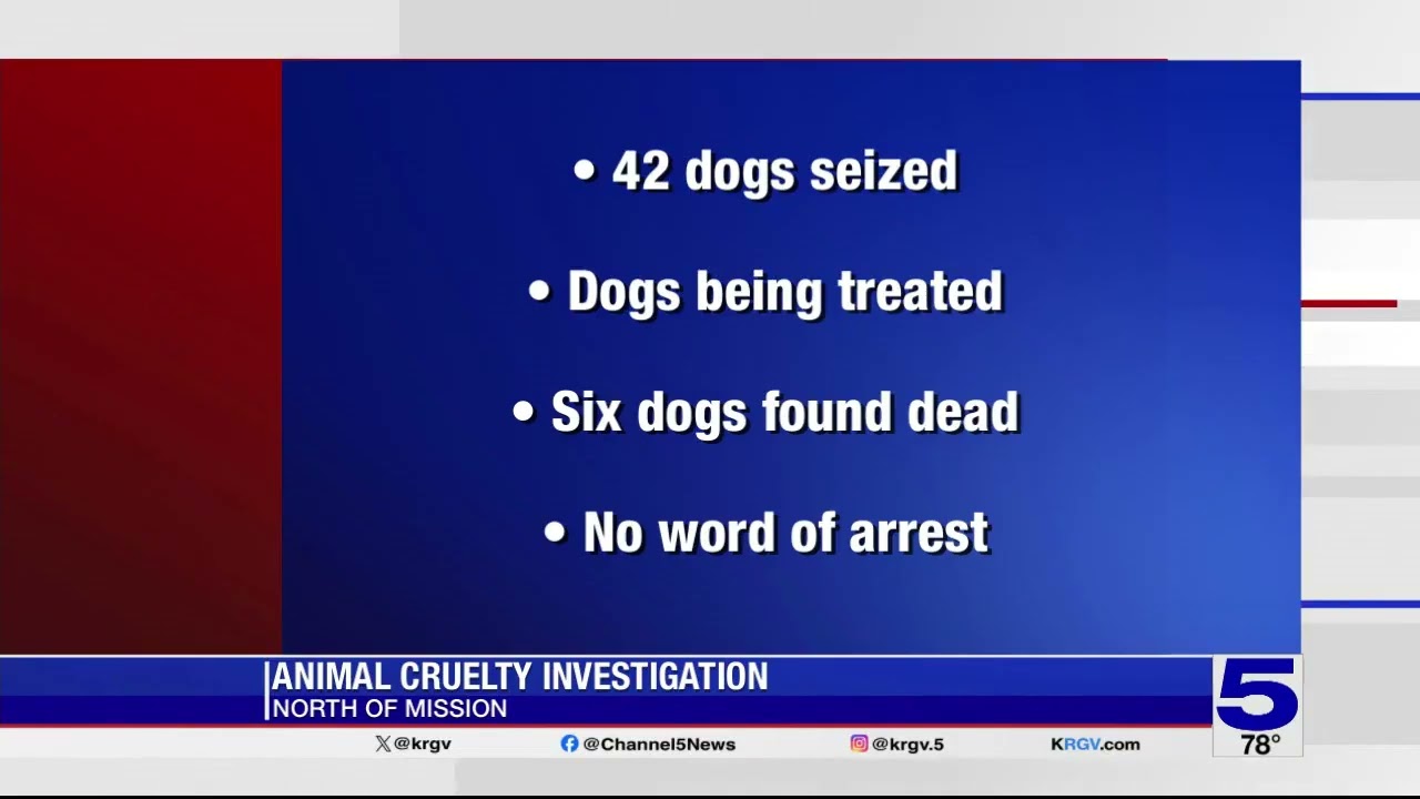More than 40 dogs removed from Hidalgo County home, six found dead on property