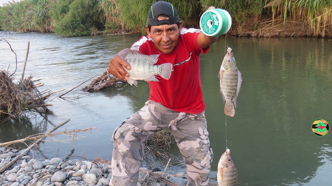 Mira las Técnicas que usa And Moll para Pescar Tilapias con Anzuelo ☑️