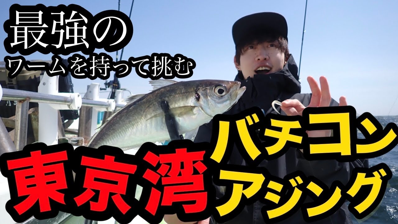 最強ワームだけを持って東京湾のバチコンアジングに挑戦してみた