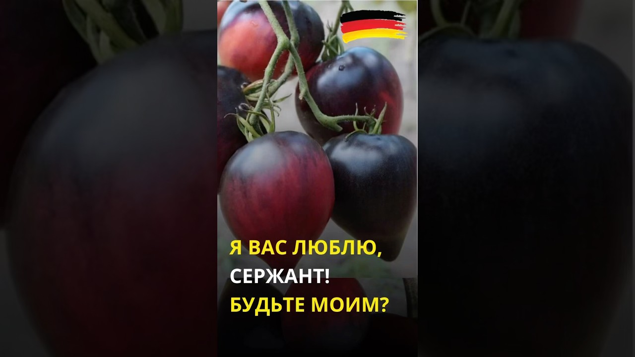 Что будем сеять? Попробуйте меня отговорить, пожалуйста! Я хочу купить еще и  этот сорт томата