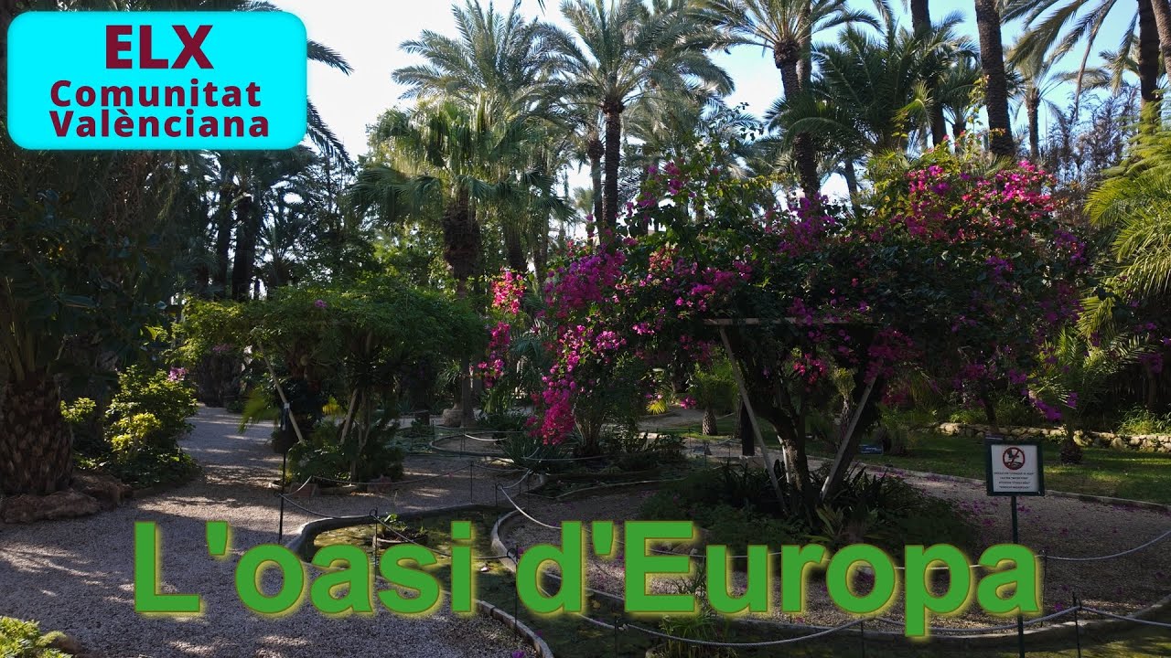 Visitem ELX, l'oasi d'Europa