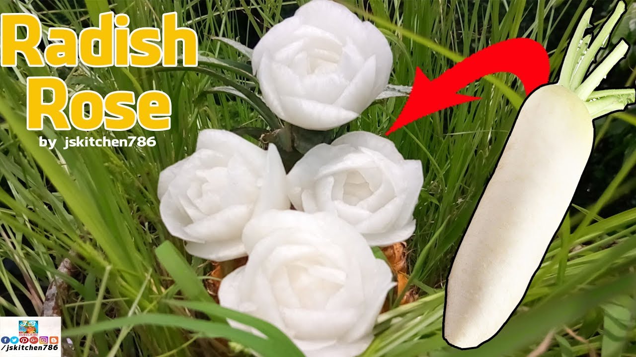 Radish Rose | 大根ローズカービング | White Radish Rose | Radish Rose Carving by jskitchen786