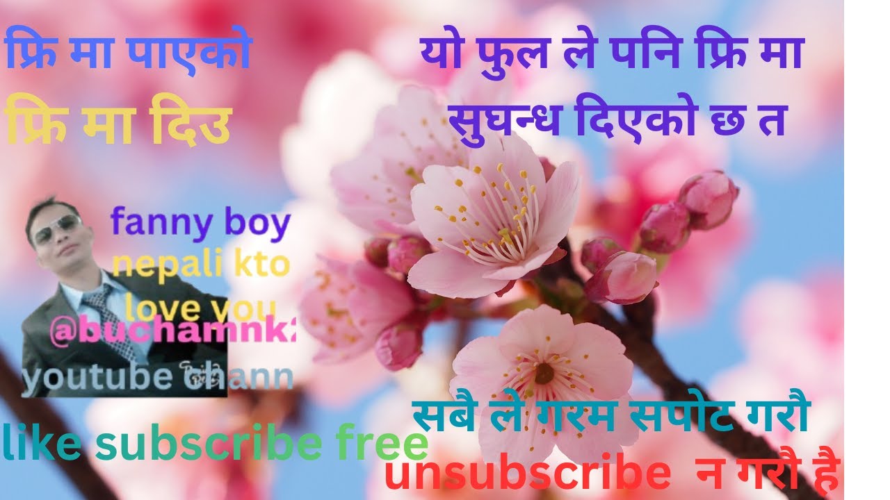 फ्रि मा पाएको फ्रि मा दिन सिकौ buchamnk2 vlog
