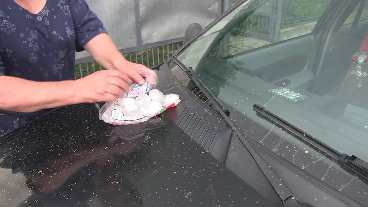 Наслідки градобою на Іршавщині