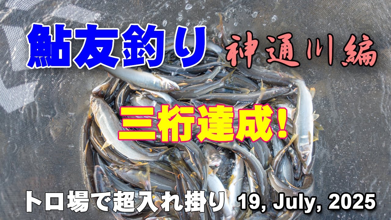 鮎友釣り　神通川編  19, July, 2025