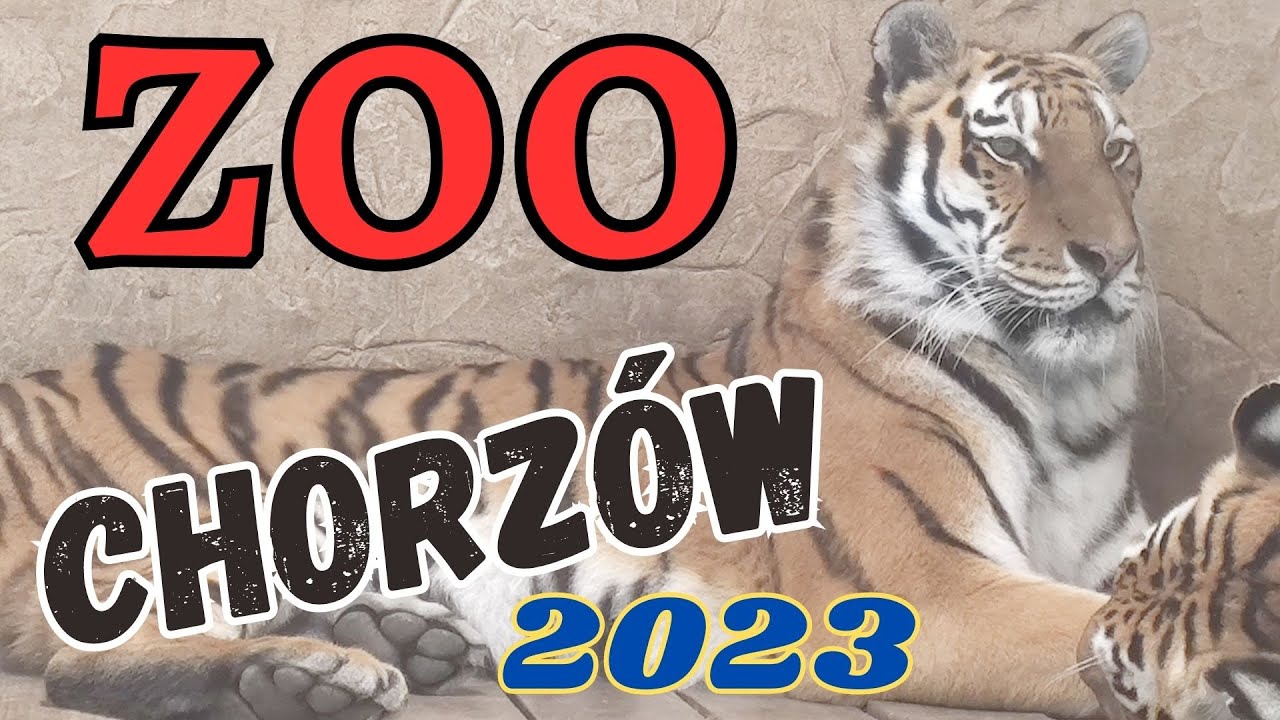 ZOO  Chorzów 2023