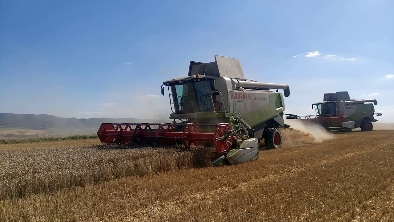 Žně 2020 | Claas Lexion 660, 560 sklizeň p&scaron;enice