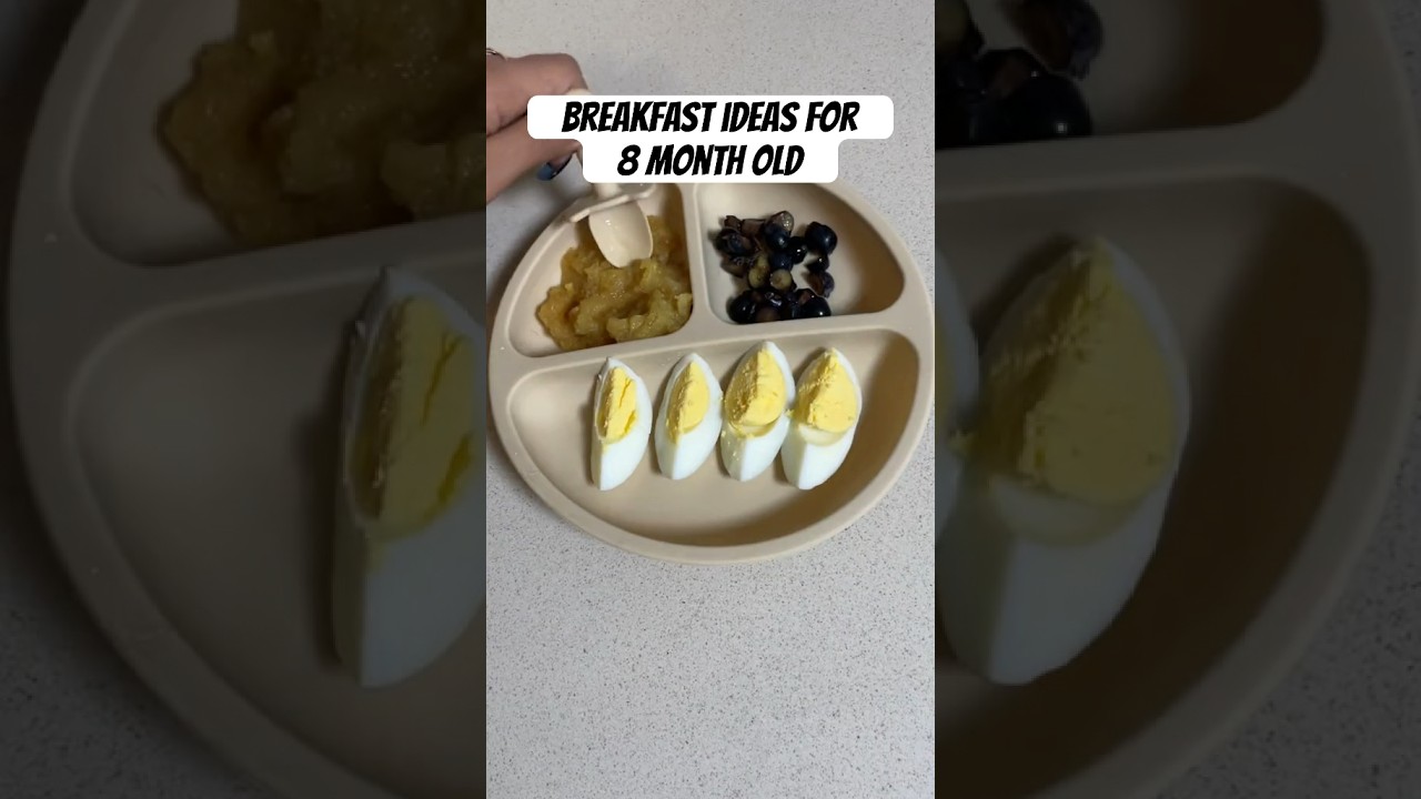 Breakfast idea for an 8 month old 🤩 #babybreakfast #momlife #girlmom #babygirl #breakfast #babyfood