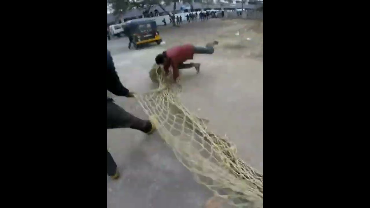 leopard rescue by forest department support subscribe shorts