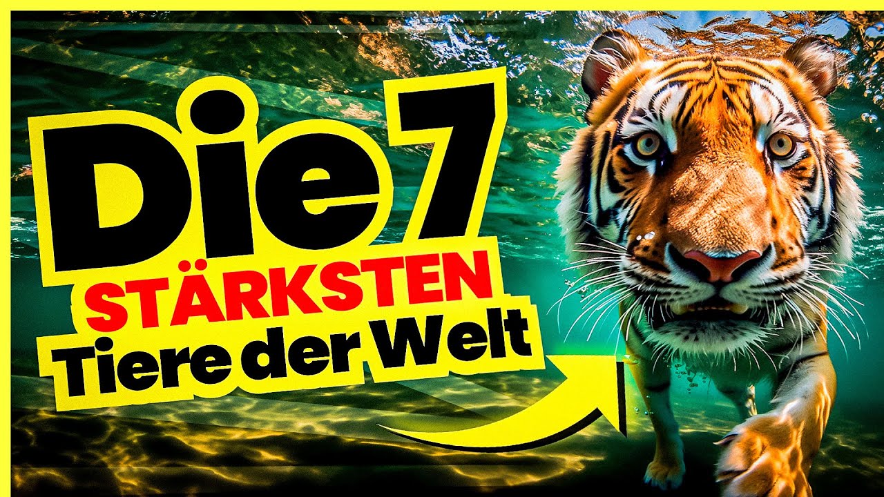 Die 7 STÄRKSTEN Tiere der Welt