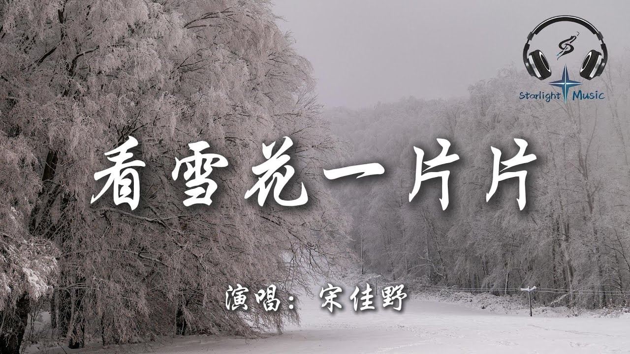 宋佳野 - 看雪花一片片『看雪花 一片片 一片片 一片片 飛得那麼遙遠 這回憶  一遍遍 一遍遍 一遍遍 凌遲我的思念』【動態歌詞MV】