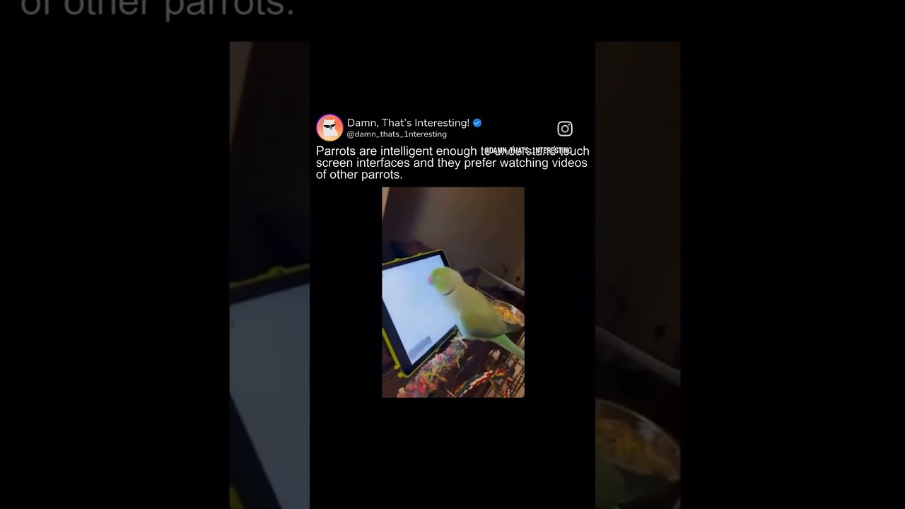 THIS IS AWESOME #funnyshorts #funny #funnyvideo #comedy #viralshorts #viralvideo #shorts #memes #lol