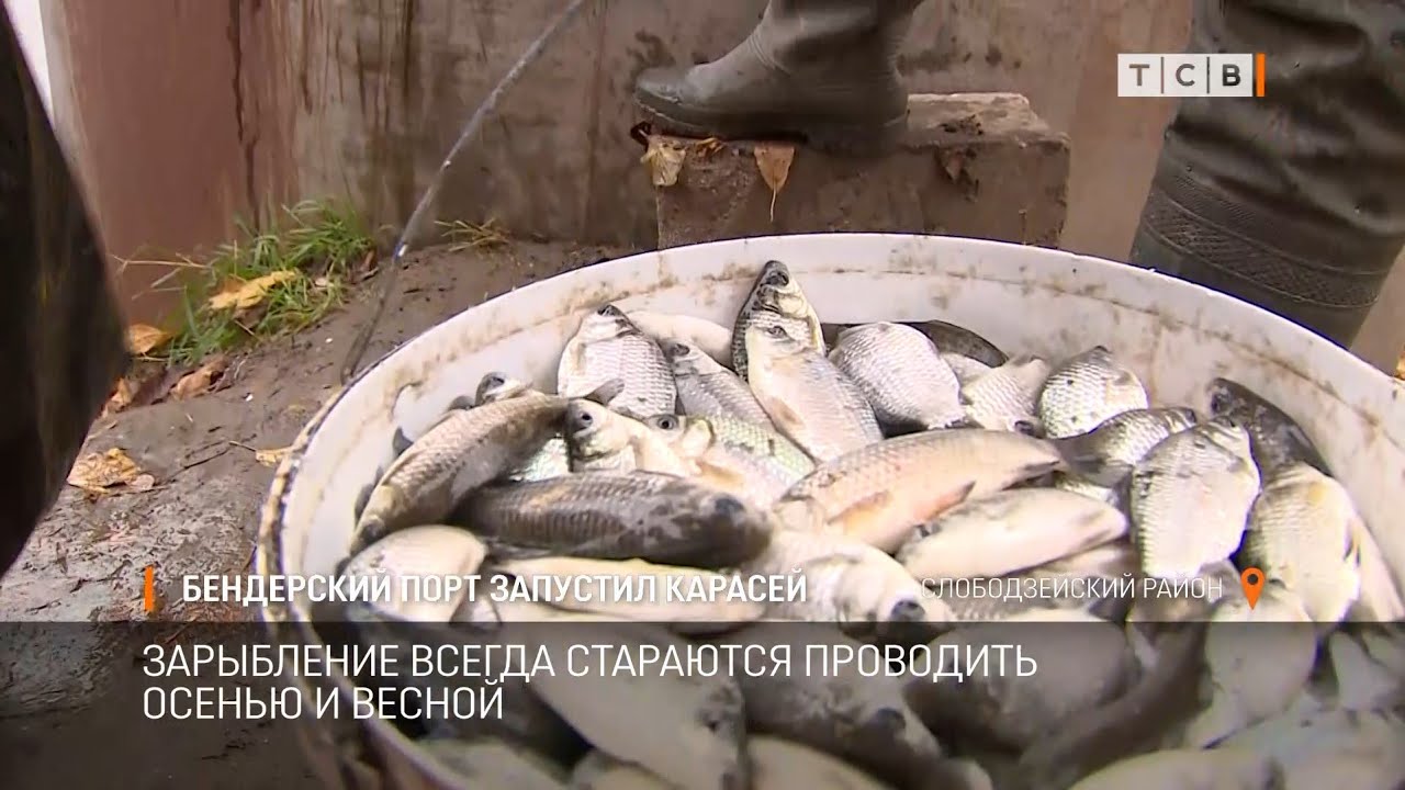Бендерский порт запустил карасей
