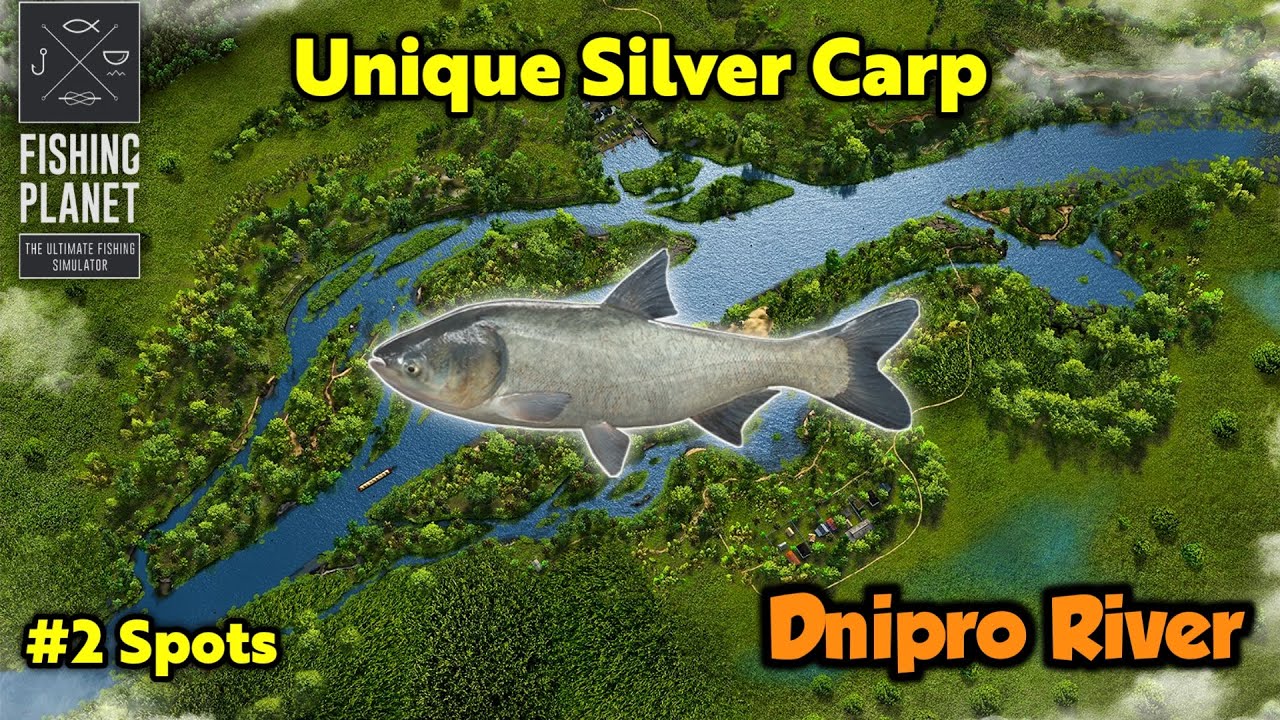 Unique Silver Carp Dnipro River - Fishing Planet