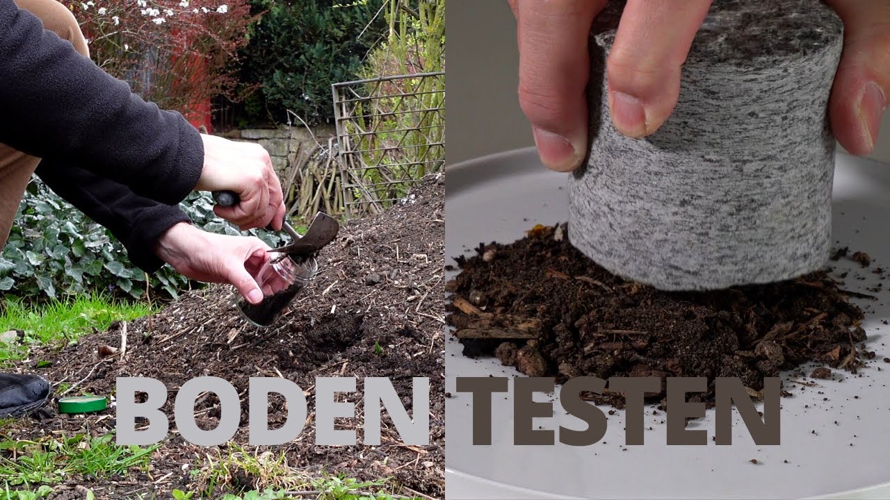 Boden untersuchen - Kita Experiment