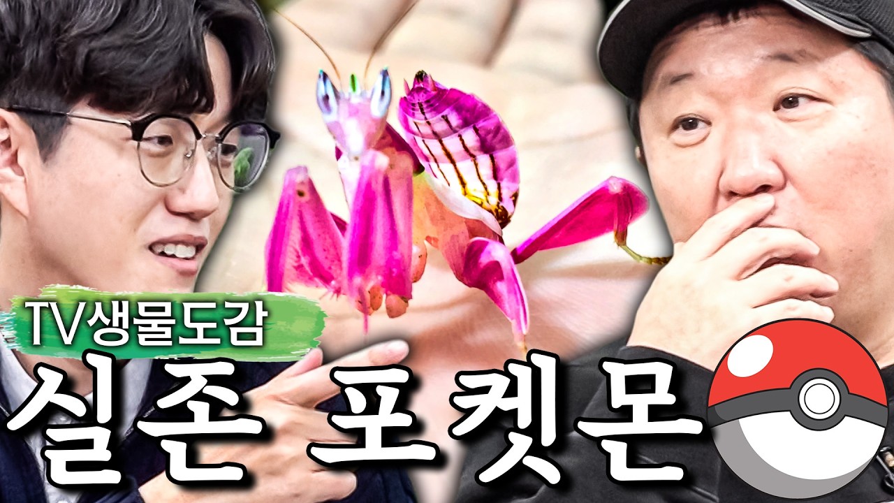 얘네 본 적 있음?😳 블루드래곤🐲 난초사마귀🌺 현실에도 존재하는 포켓몬스터같은 생물들!! (TV생물도감)