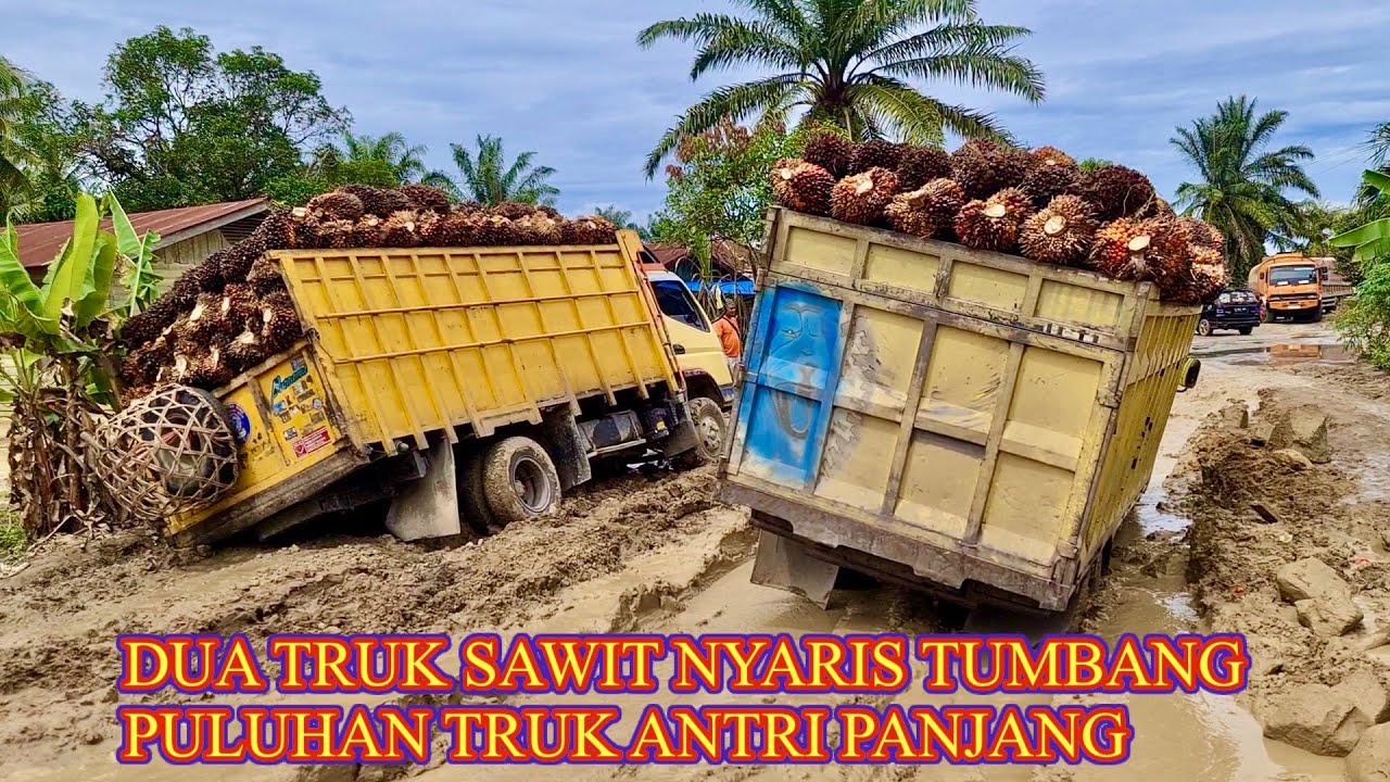 DUA TRUK SAWIT NYARIS TUMBANG PULUHAN TRUK ANTRI PANJANG