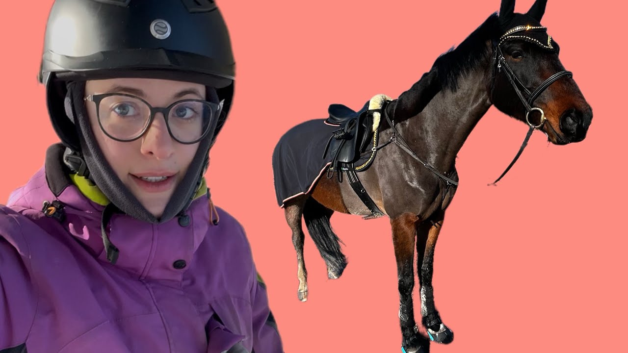 Bringing my horse back to work after injury/ Toon Wersu tagasi töösse vol 1