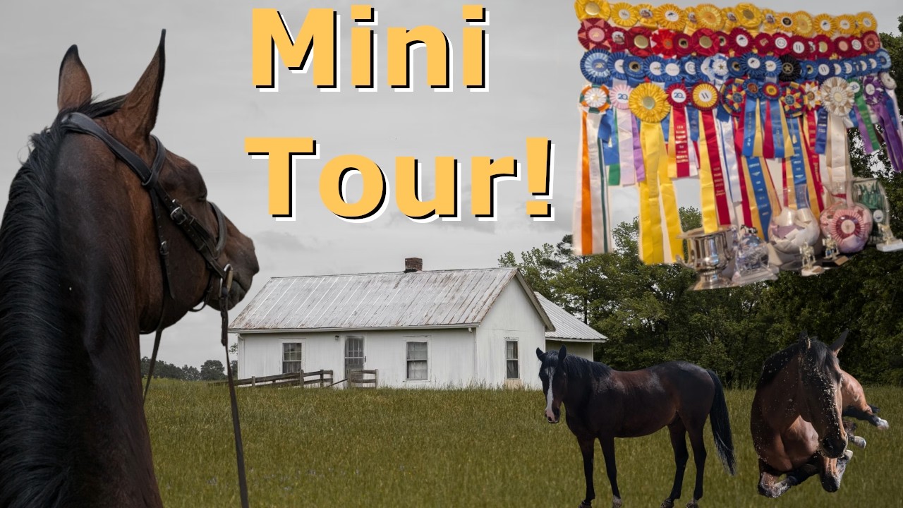 Equestrian Moved - in Vlog! ║ Mini - Tour ║ Equestrian Trophy ║ Medals ║