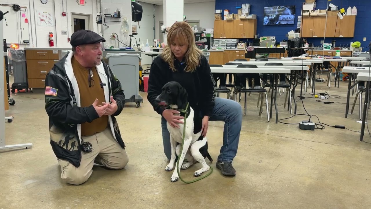 Dog Rescued from East Liberty Street Shooting