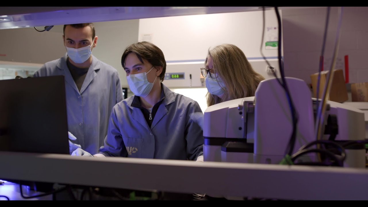 Study Stem Cell Research and Regenerative Medicine in Canada