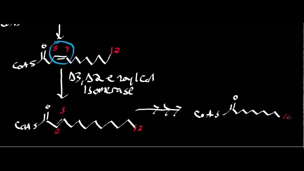 Biochemistry | Basics of Monounsaturated Fat Oxidation