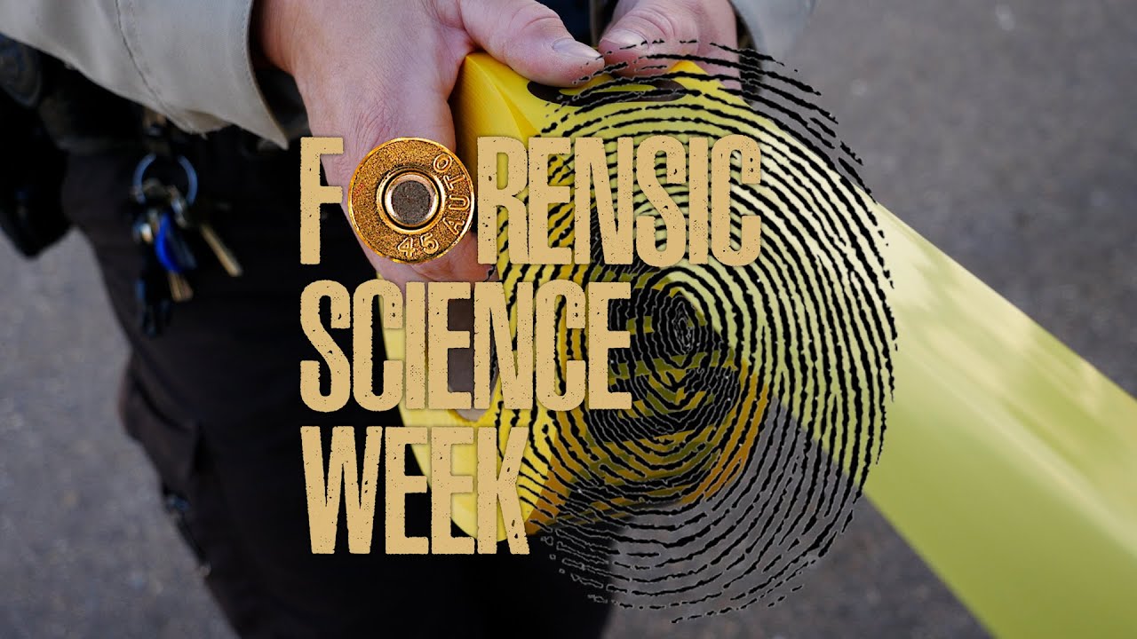 Forensic Science Week: Crime Scene Investigator