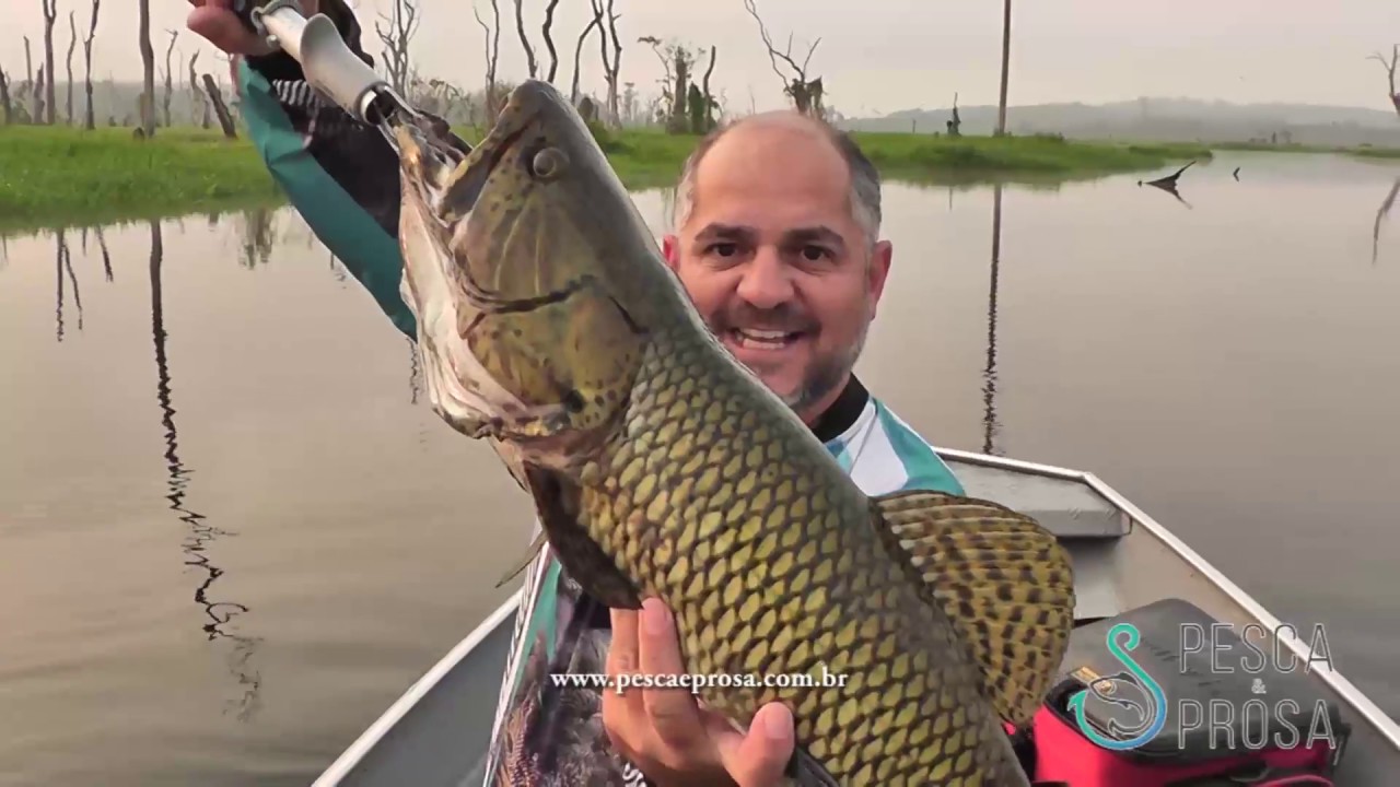 Pesca e Prosa