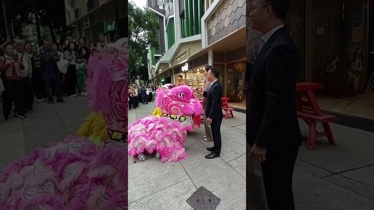 順福糧倉新春醒獅點睛及簪花掛紅儀式 20260303