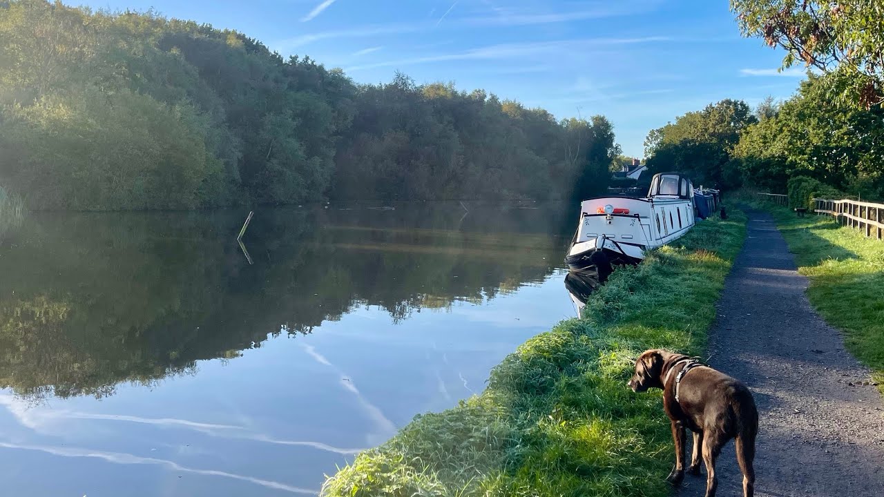 Badger the Boat - Boat lockdown, Labrador Cafes and Tattoos