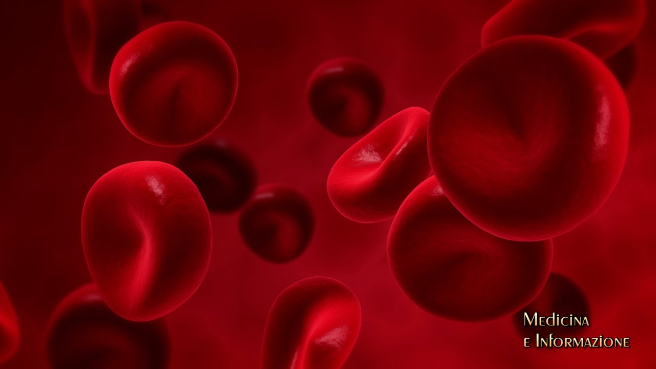 TUMORI DEL SANGUE: APPROVAZIONE AIFA DI ZANUBRUTINIB PER PAZIENTI CHE NON RISPONDONO ALLE TERAPIE