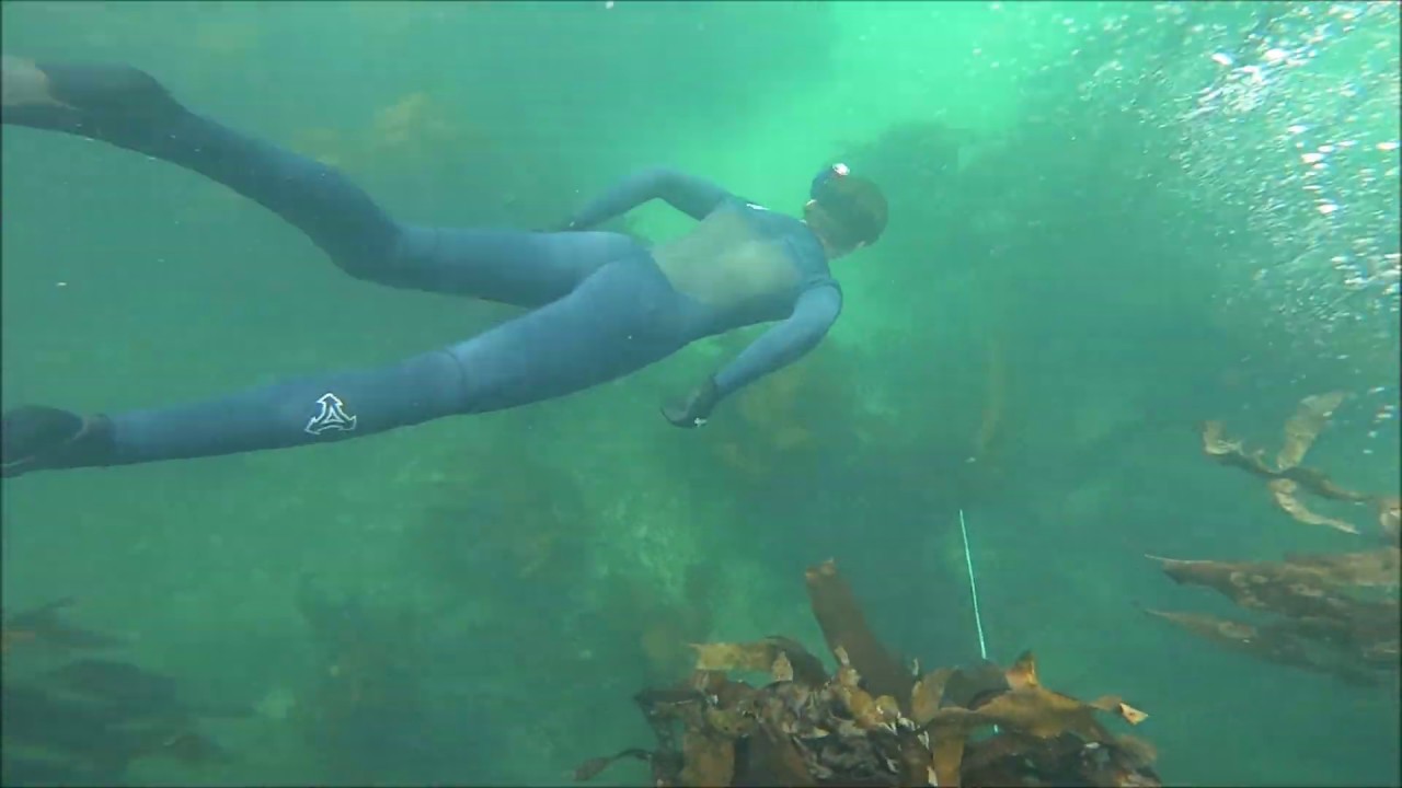 SUP and Snorkeling Trip in Hermanus with Dusty Feet