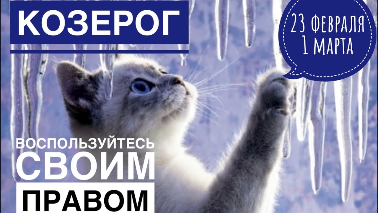Козерог ♑️ 23 февраля-1 марта 2026 🍀🔮✨🗝❤️ Таро Ленорман прогноз 