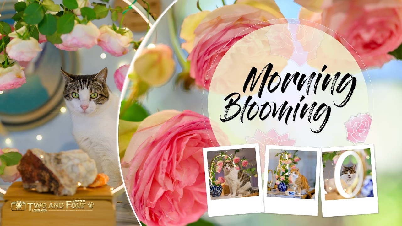 Organic Photo Backdrop for The Cats - in Art Nouveau Style