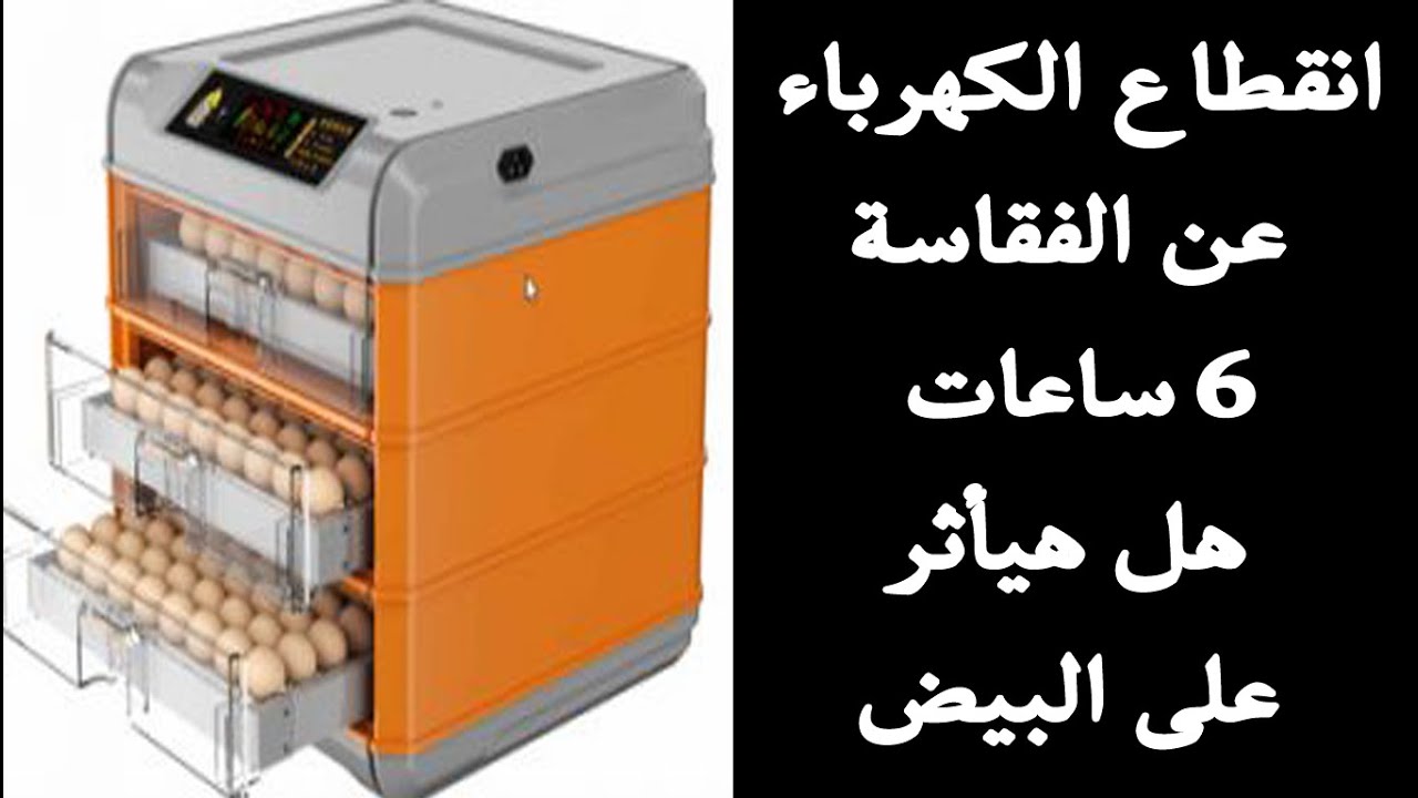 انقطاع الكهرباء عن الفقاسة 6 ساعات متواصلة هل هيأثر على البيض وطريقة مضمونة عشان البيض يطلع سليم مية