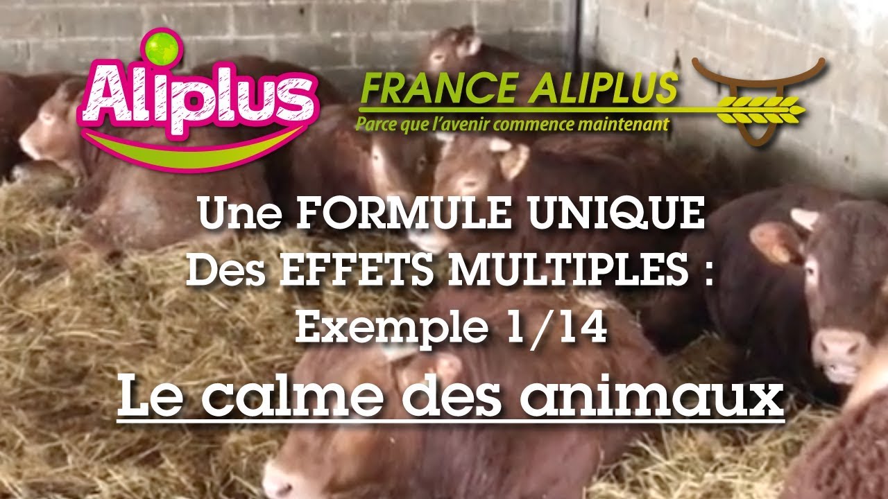 Aliplus Avantage Calme des animaux