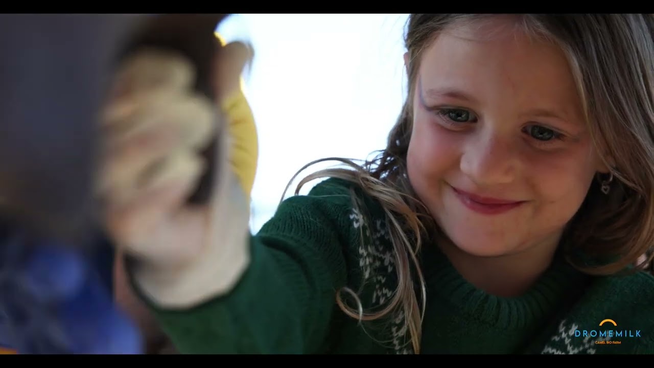 El Camino de Sus Majestades de Oriente 2024