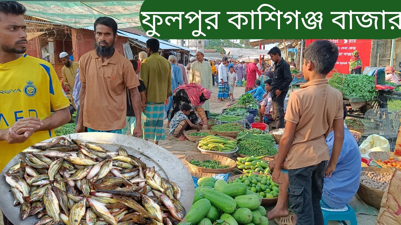 গ্রামের প্রাকৃতিক দৃশ্য ও কাশিগঞ্জ বাজারের দরদাম