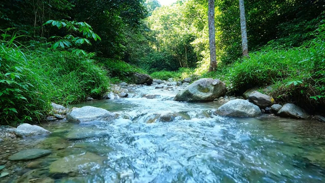 Mindful Calm – Beautiful Enchanted Water River Sound in Hidden Forest – Stress Relief