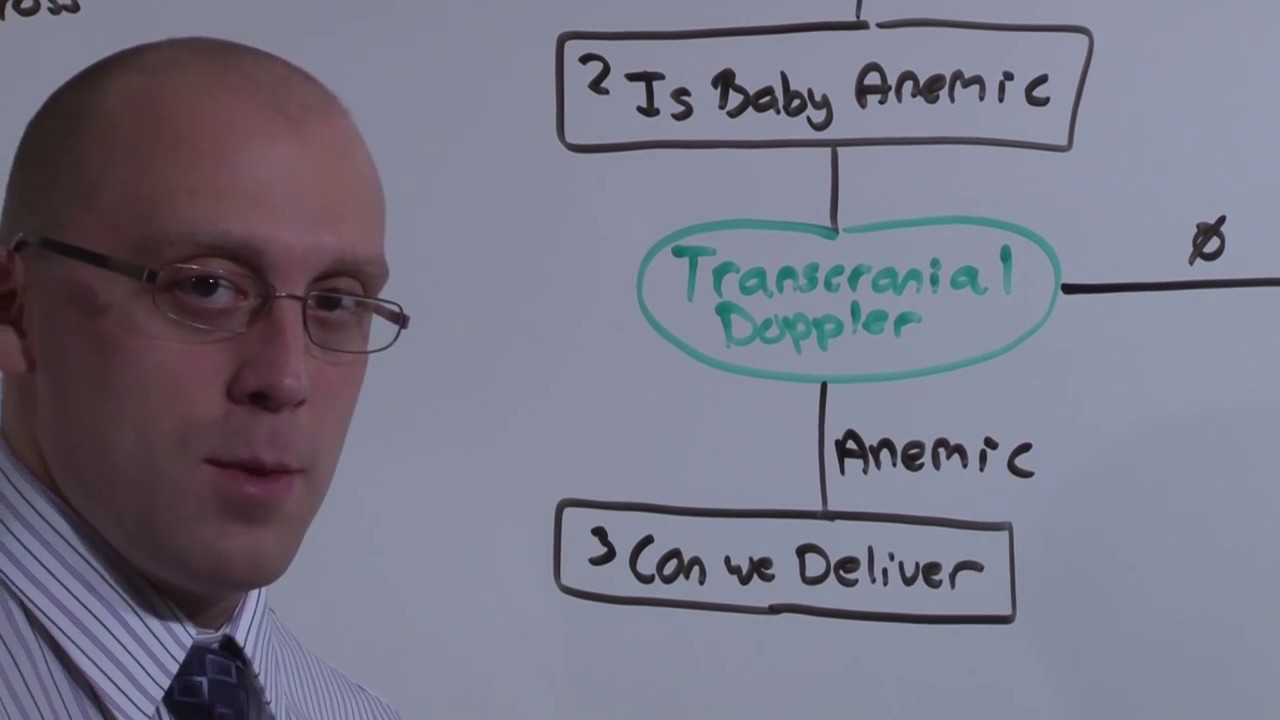 Obstetrics  Isoimmunization  The Medical Education